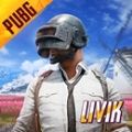 PUBG MOBILE国际服北欧地图版游戏下载 v3.3.0