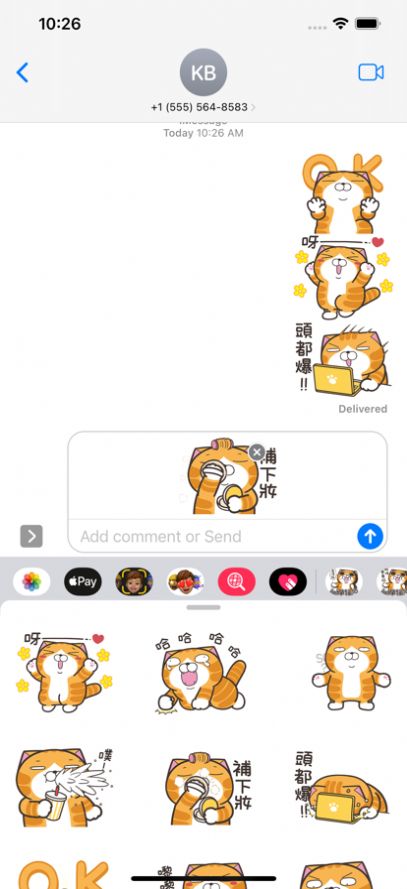 白烂猫19贴纸app免费下载图片2