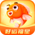 好运福星运势测算app手机版下载 v1.0