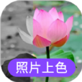 照片上色app工具手机版 v22.3.11