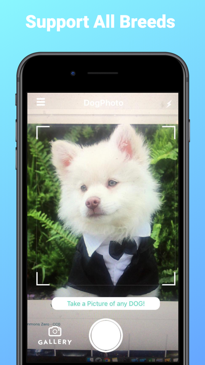 DogPhoto狗品种扫描仪app手机版下载 v1.12