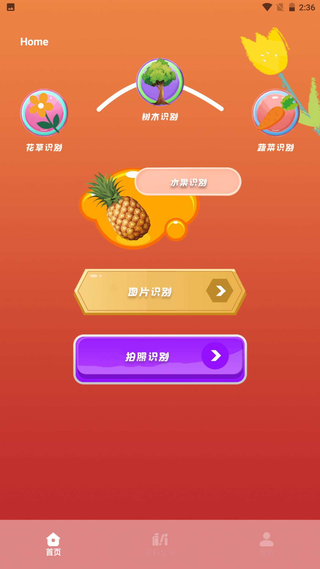 plantae植物识别软件app手机版下载 v1.1